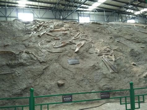  Cangzhou Dinosaur Geopark: Gizemli Dinozor Kemikleri ve Muhteşem Manzaralar!