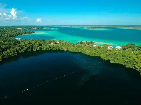  Cenote Azul:  Gizemli ve Taşıtlı Bir Deniz Yıldızı!